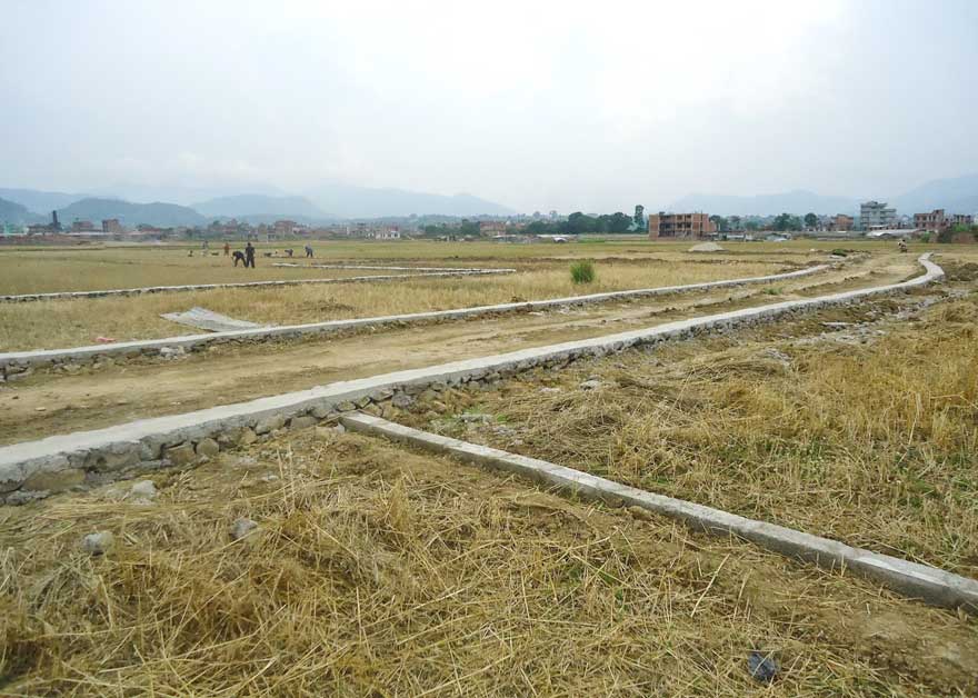 जग्गाको कित्ताकाट खुल्यो, अब कृषियोग्य जमिनलाई प्लटिङ गर्न पाइने 