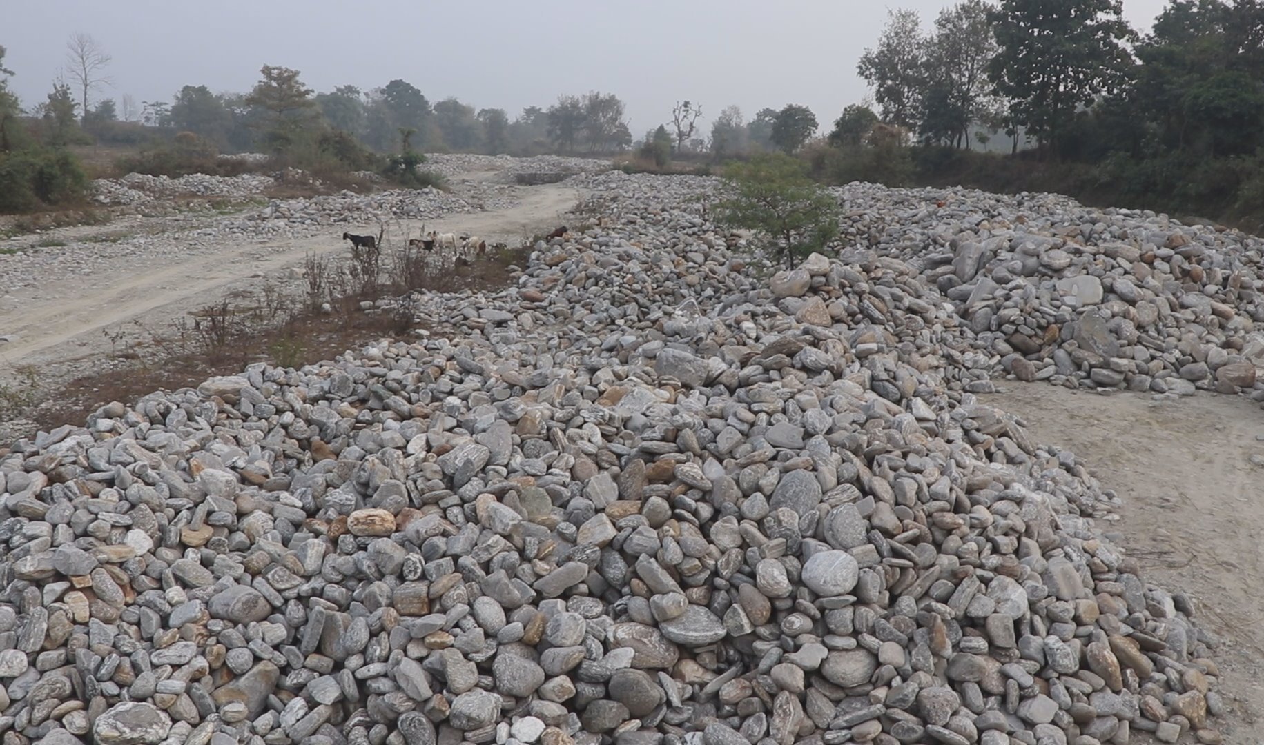 मेचीनगरका खोलाबाट नदिजन्य सामग्री निकाल्न रोक