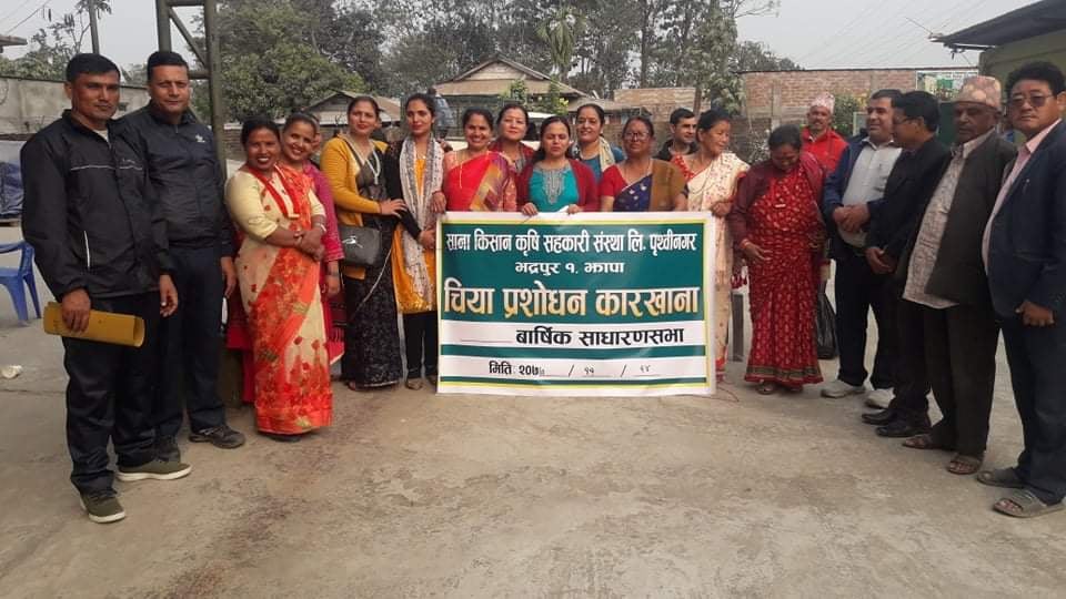 पृथ्वीनगरका चिया किसानको नाफा एक करोड बढी