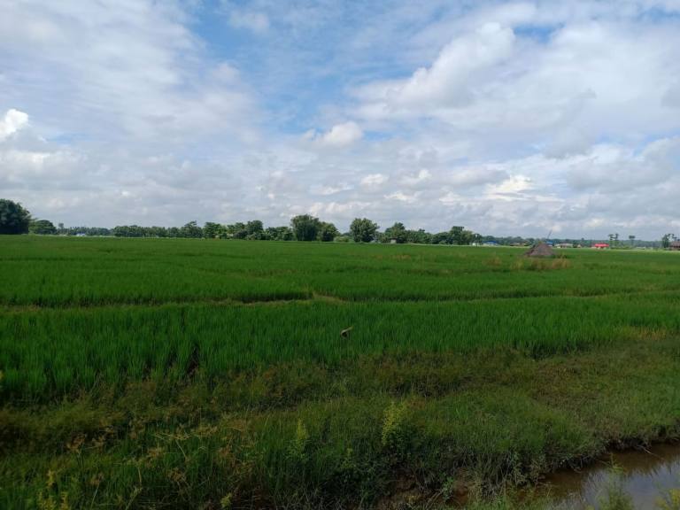 प्रधानमन्त्री ओलीले आज झापाको औद्योगिक क्षेत्र शिलान्यास गर्ने