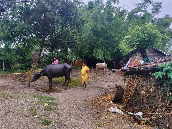 मेची पारीको नेपालः चुनावका बेला मात्रै सम्झिने झोलुङ्गे पुल