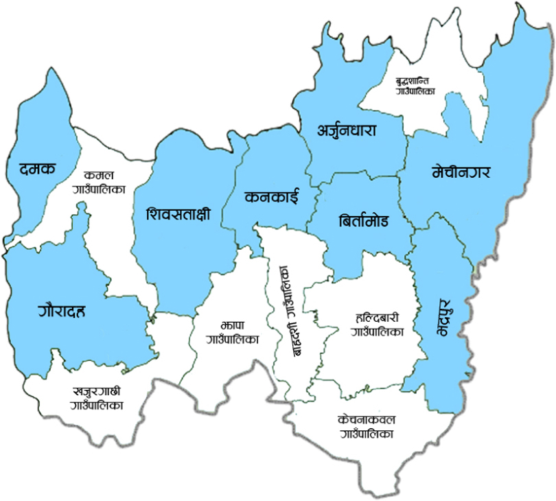 झापामा ५९ वटा वडाको परिणाम घोषणा, काँग्रेसलाई अग्रता