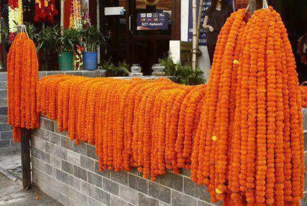 भारतीय सयपत्री मालाको आयातमा प्रतिबन्ध