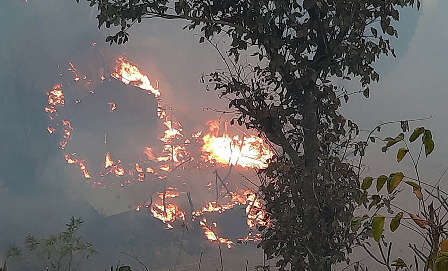 तेह्रथुमको आगलागी अझै नियन्त्रणमा आउन सकेन