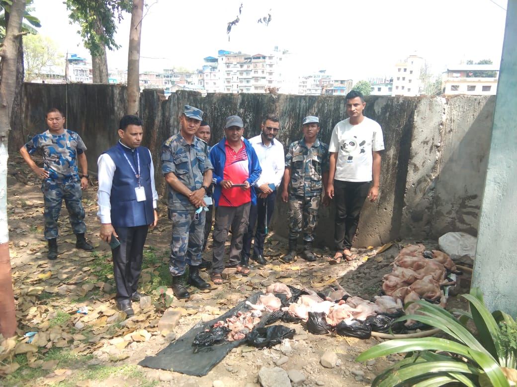 अबैद्य आयात भएको कुखुरा र माछा नियन्त्रण गरी नष्ट
