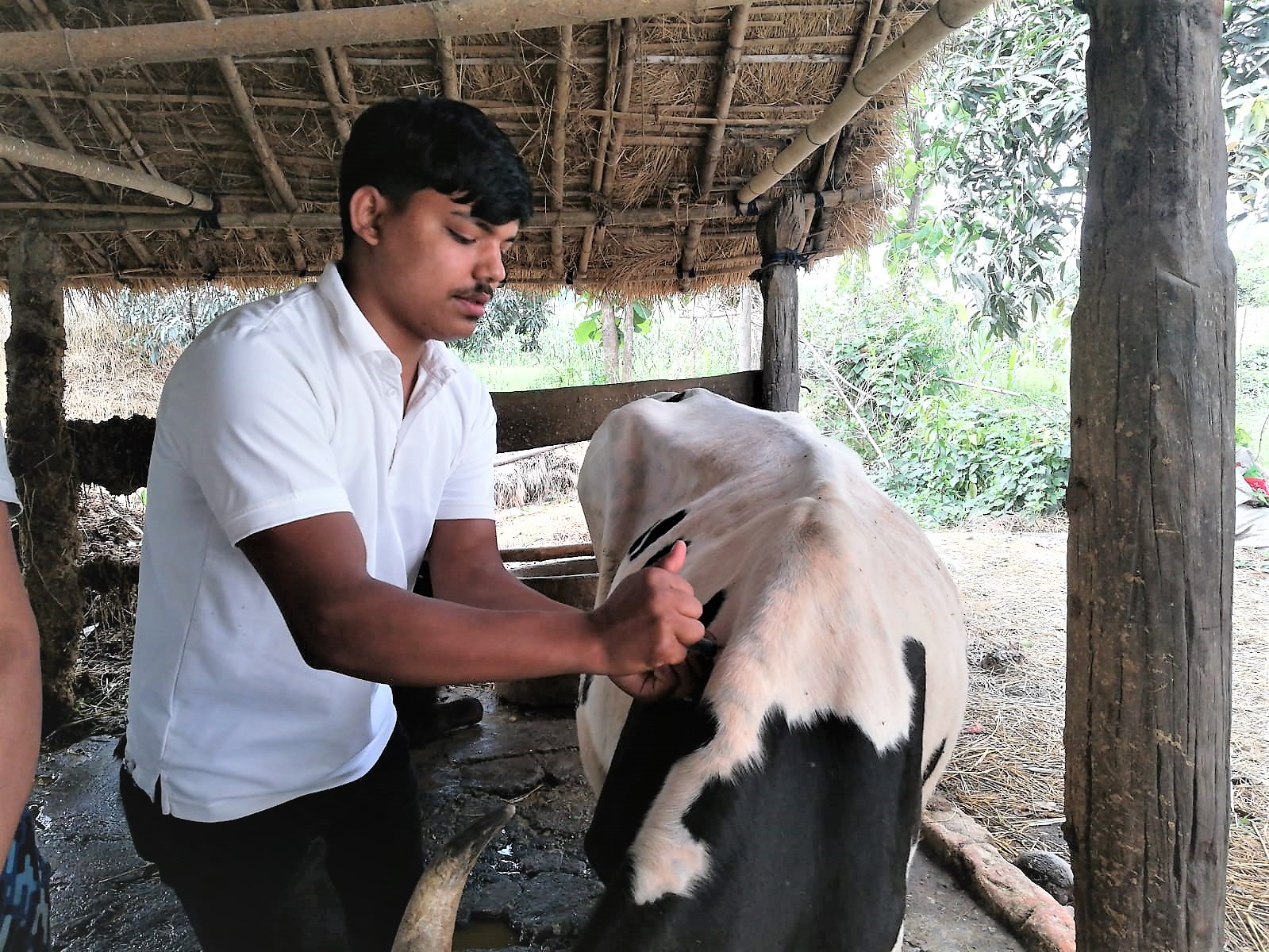 खोरेत तथा चरचरे बिरुद्ध खोप अभियान सुरु 