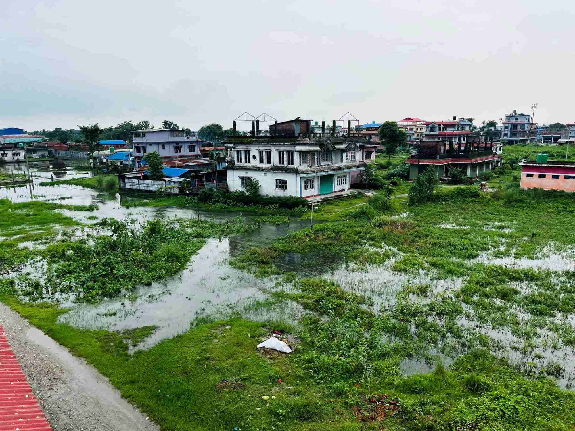 अविरल बर्षाको प्रभाव : झापामा डुबान र कटान
