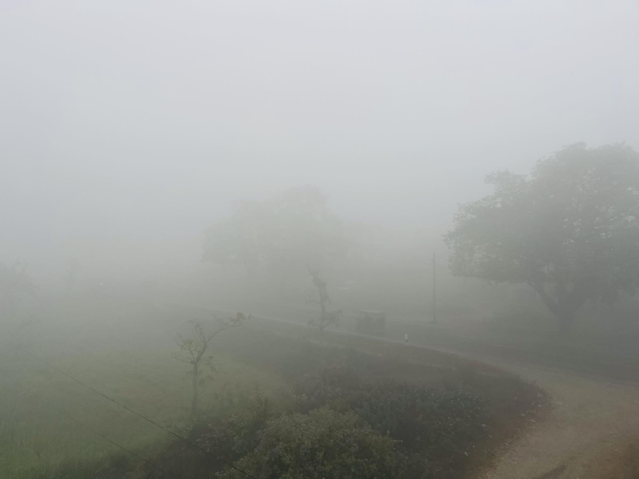 झापामा बाक्लो हुस्सु