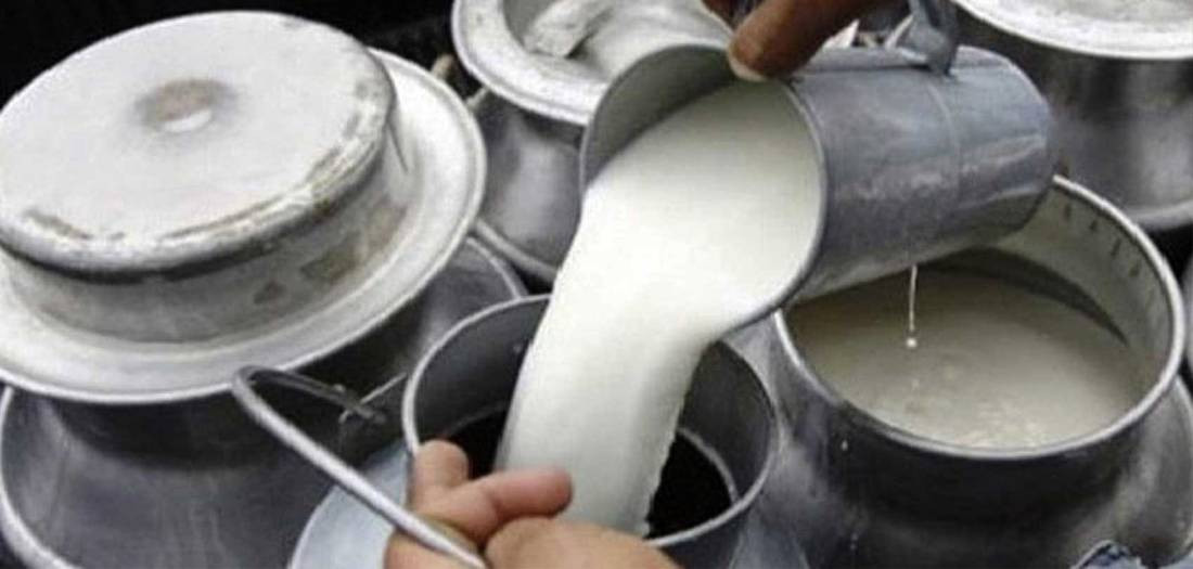 दुधको खरिद र बिक्रि मूल्यबीच ४२.१५ रुपैयाँको फरक