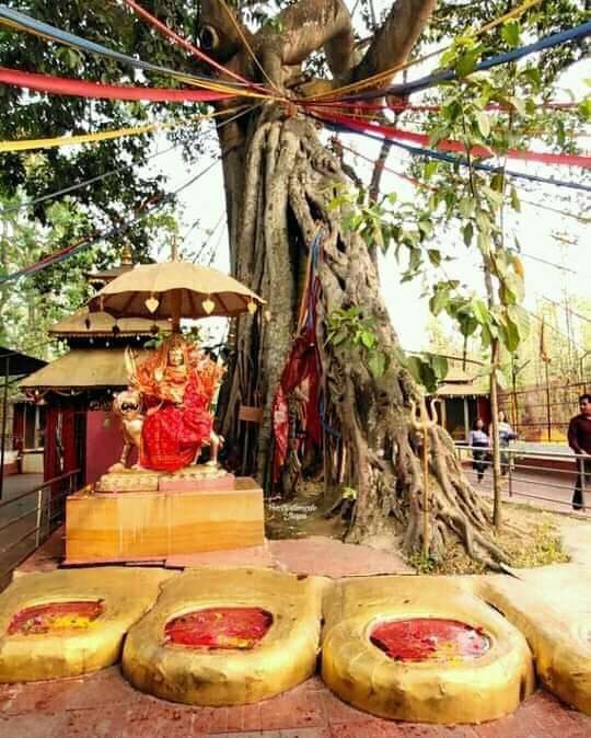 बार्षिकोत्सवमा बालगृह र बृद्धाश्रमलाई सहयोग