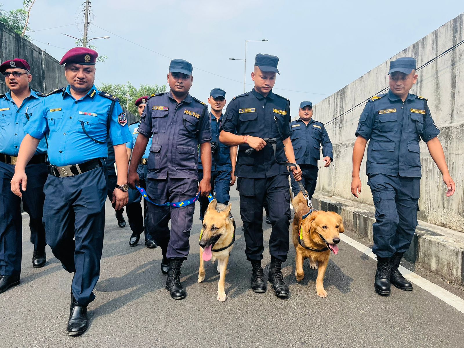 पुर्वीनाकामा आजदेखि पारु र पिङ्कुले सुरक्षा जाँच गर्दै  (भिडियो सहित)