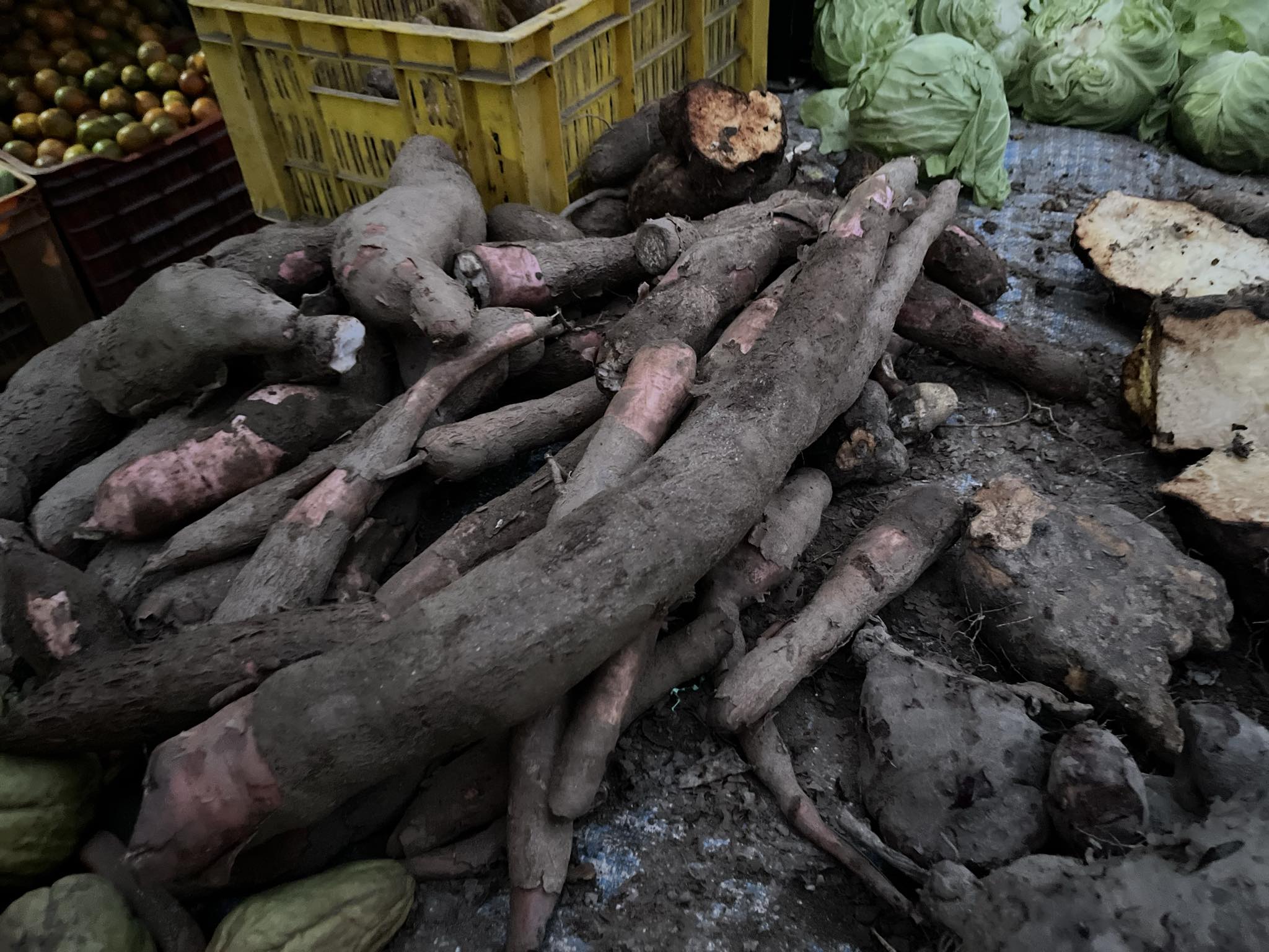 बाहुनडाँगीमा तरुल उत्सवको उल्लास (फोटो फिचर सहित)