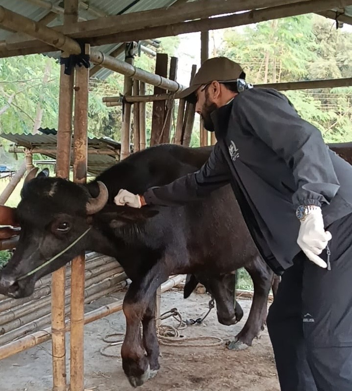 मेचीनगरमा खोरेत विरूद्धको खोप लगाउन सुरु