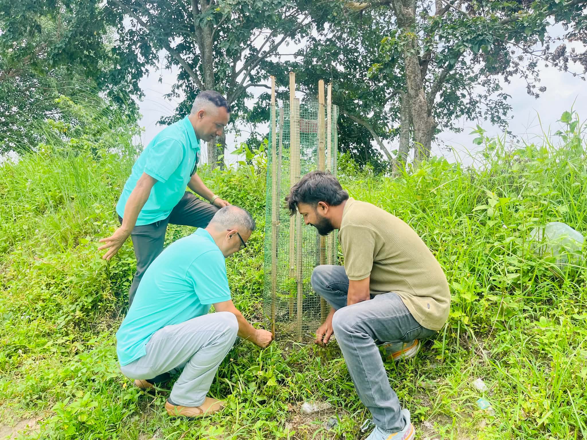 विरुवाको संरक्षण गरेर रोटरीले मनायो वातावरण दिवस